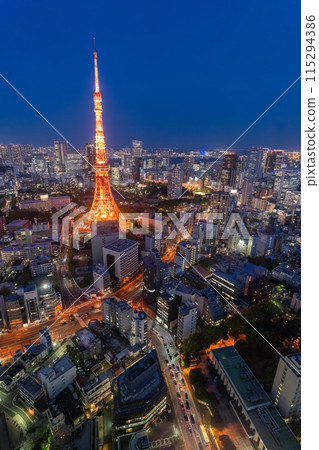 《東京》東京城市夜景/東京市中心 115294386