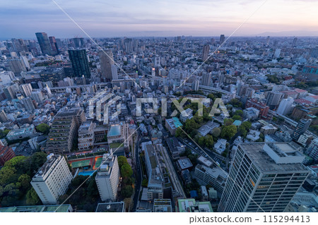 [Tokyo] Tokyo skyline/city night view 115294413