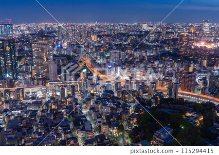 [Tokyo] Tokyo skyline/city night view 115294415