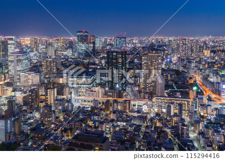 [Tokyo] Tokyo skyline/city night view 115294416