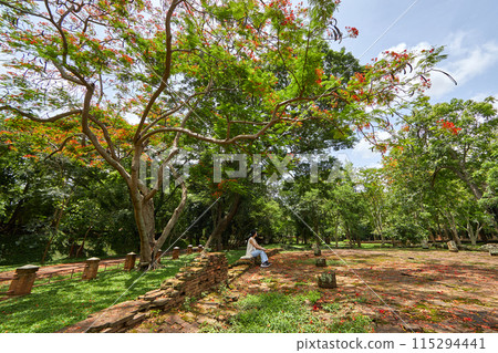 Wat Pa Sak is a Buddhist temple in thailand Wat Pa Sak is a Buddhist temple in thailand 115294441