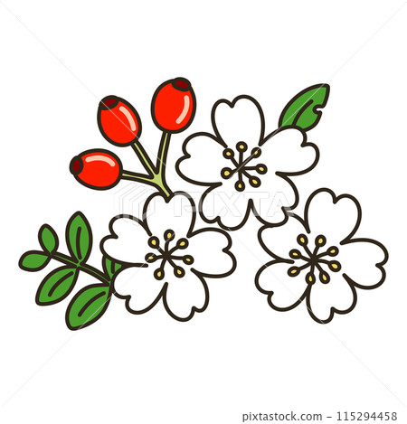 Neubara Neubara 115294458