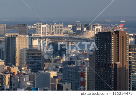 Tokyo Skyline and City Evening Scenery Tokyo Skyline and City Evening Scenery 115294473
