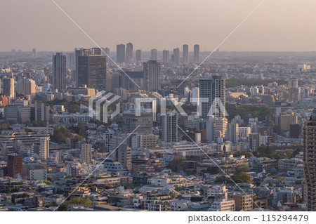 [東京] 東京天際線/城市夜景 115294479