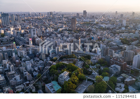 Tokyo Skyline and City Evening Scenery 115294481