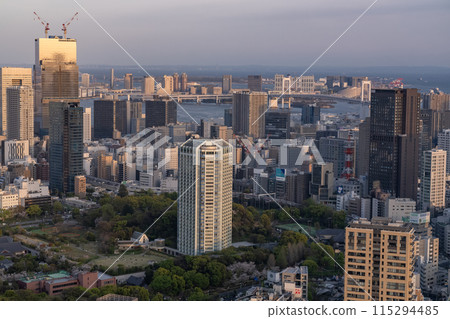 Tokyo Skyline and City Evening Scenery 115294485
