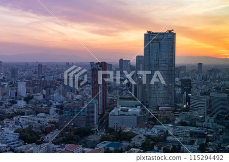 Tokyo Skyline and City Evening Scenery 115294492