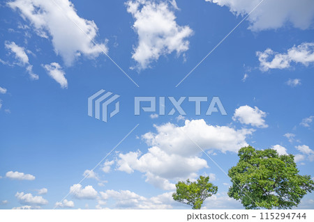 初夏的雲朵和樹木 初夏的雲朵和樹木 115294744