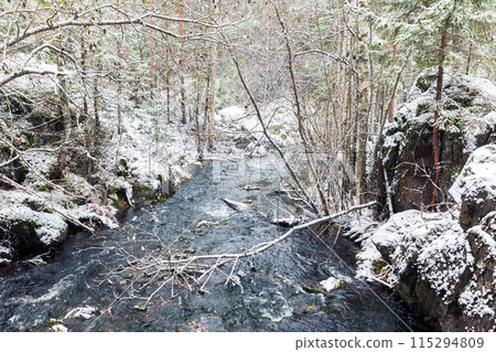 Karelian forest, winter landscape with frozen trees and small stream, Kivach 115294809