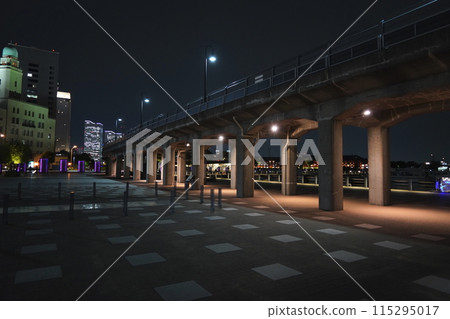 港未來夜景、象之花公園風景 港未來夜景、象之花公園風景 115295017
