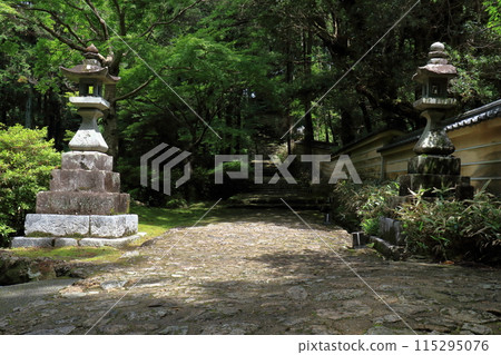 Early summer approach to Mount Godai Chikurinji Temple (Kochi City, Kochi Prefecture) 115295076