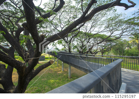 Benjakitti Forest Park, is new landmark public park of central Bangkok in Bangkok, Thailand. 115295197