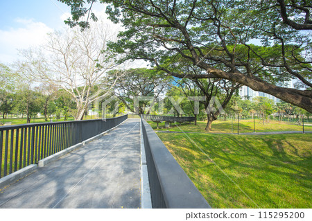 Benjakitti Forest Park, is new landmark public park of central Bangkok in Bangkok, Thailand. 115295200