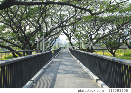 Benjakitti Forest Park, is new landmark public park of central Bangkok in Bangkok, Thailand. 115295206