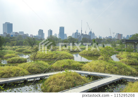 Benjakitti Forest Park, is new landmark public park of central Bangkok in Bangkok, Thailand. 115295208