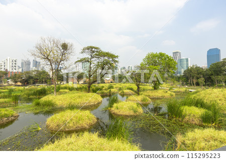 Benjakitti Forest Park, is new landmark public park of central Bangkok in Bangkok, Thailand. 115295223