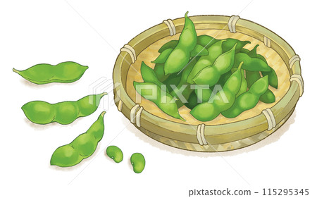 毛豆在竹漏杓與陰影 115295345