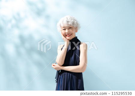 美麗的灰髮女人 115295530