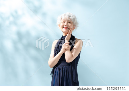 Beauty Gray Hair Women 115295531