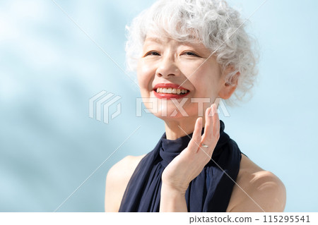 Beauty Gray Hair Women 115295541