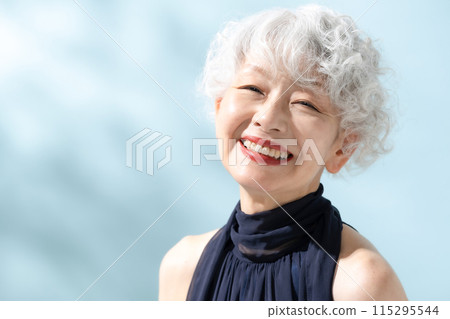 Beauty Gray Hair Women 115295544