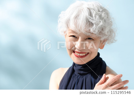 Beauty Gray Hair Women Beauty Gray Hair Women 115295546