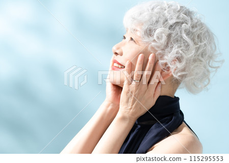 Beauty Gray Hair Women 115295553