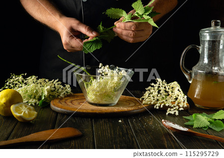 Adding green mint by hand to a glass bowl with elderberries before making a cold drink or kvass. The concept of making a medicinal drink based on folk recipes Adding green mint by hand to a glass bowl with elderberries before making a cold drink or kvass. The concept of making a medicinal drink based on folk recipes 115295729