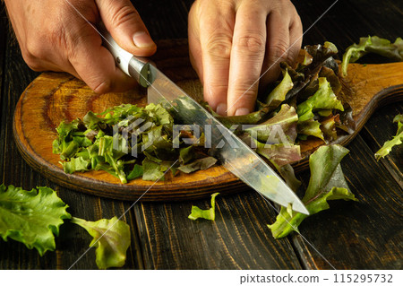 Knife in chef hand slicing romaine lettuce on kitchen wooden board. Concept of cooking vegetarian dish from lettuce Knife in chef hand slicing romaine lettuce on kitchen wooden board. Concept of cooking vegetarian dish from lettuce 115295732