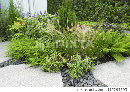 Spring garden at home. Terrace with green plants and trees in small garden. Cozy garden corner with houseplants in pots. Exterior Autumn backyard home. 115295795