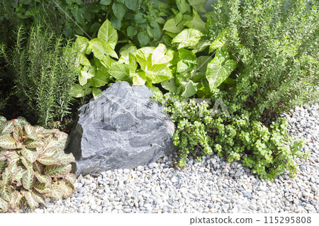 Spring garden at home. Terrace with green plants and trees in small garden. Cozy garden corner with houseplants in pots. Exterior Autumn backyard home. Spring garden at home. Terrace with green plants and trees in small garden. Cozy garden corner with houseplants in pots. Exterior Autumn backyard home. 115295808