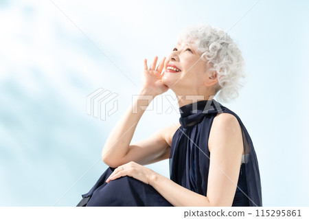 Beauty Senior Woman Sitting 115295861