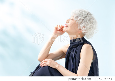 坐在美麗的高級女人 115295864