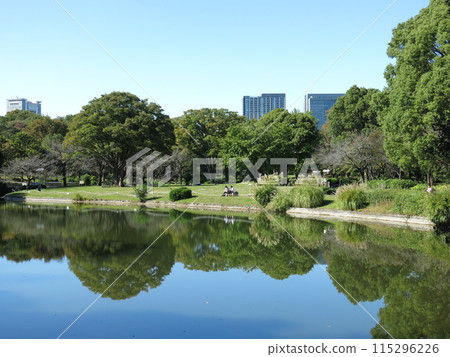 Kitanomaru Park in Chiyoda Ward (the grassy area seen across the pond) 115296226