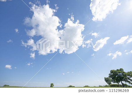 初夏的藍天和草地 初夏的藍天和草地 115296269