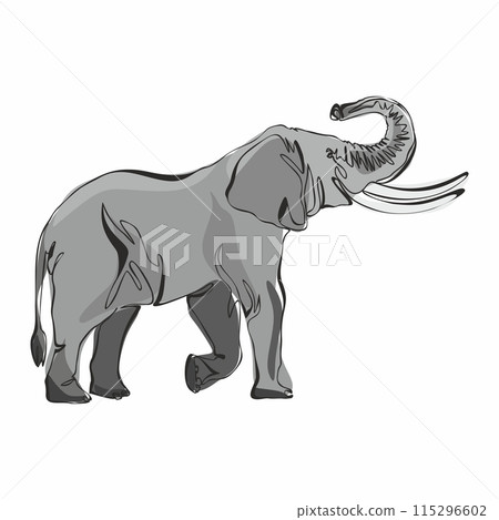 Cute gray elephant isolated on white background. Wild animal with large ears, long trunk and tail Cute gray elephant isolated on white background. Wild animal with large ears, long trunk and tail 115296602