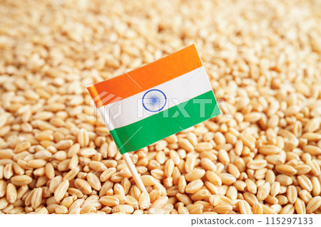 India flag on grain wheat, trade export and economy concept. 115297133