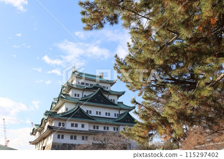 Nagoya Castle Nagoya Castle 115297402