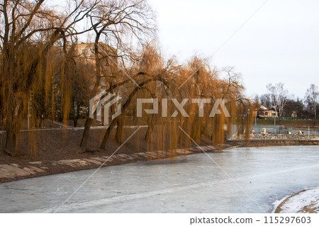 In the forefront, a willow tree stands near a frozen lake In the forefront, a willow tree stands near a frozen lake 115297603