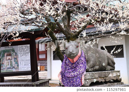北野天滿宮 北野天滿宮 115297981