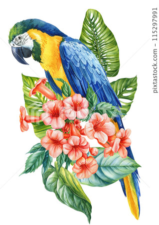 Parrot Watercolor illustration. Hand drawn tropical flora and bird design. Bird, Flowers and palm leaves greeting cards 115297991