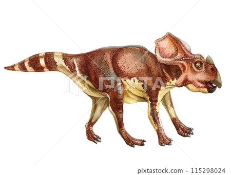 Realistic Triceratops dinosaur isolated white background. Hand painted watercolor dinosaurs illustration, Styracosaurs 115298024