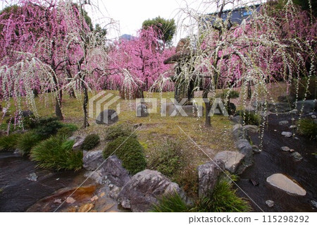 Seongnam Palace Seongnam Palace 115298292