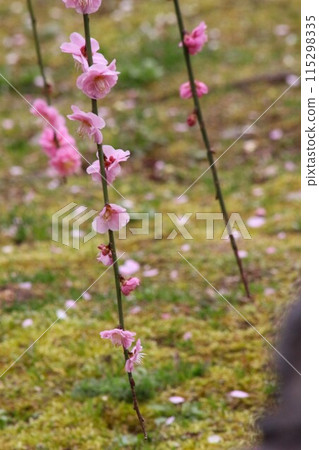 Seongnam Palace Seongnam Palace 115298335