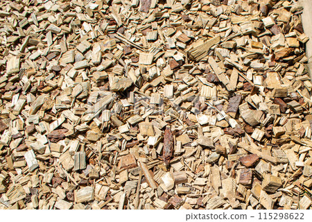 Cute paw cat is sleeping on the bed. High quality photo 115298622