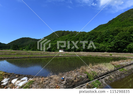 高畠町郊外的田園風光，稻田裡清澈見底。 115298835
