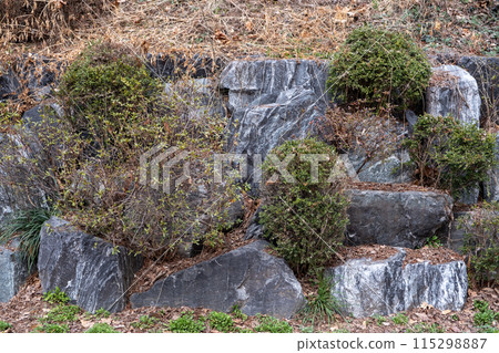 Stone wall with plants decoration in winter Stone wall with plants decoration in winter 115298887