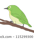 A Japanese white-eye perched on a branch 115299300