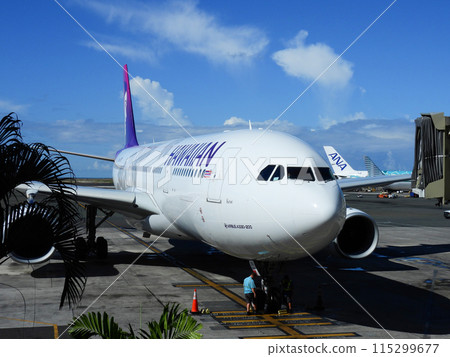 Planes waiting to depart at Honolulu Airport Planes waiting to depart at Honolulu Airport 115299677