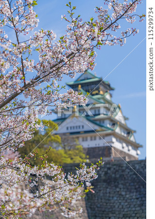 [Spring] Cherry blossoms at Osaka Castle Park [Osaka Castle Tower] 115299734